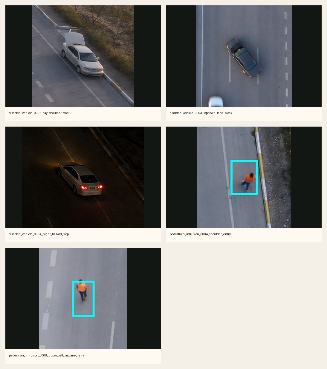 disabled vehicle and pedestrian ROI detail sheet